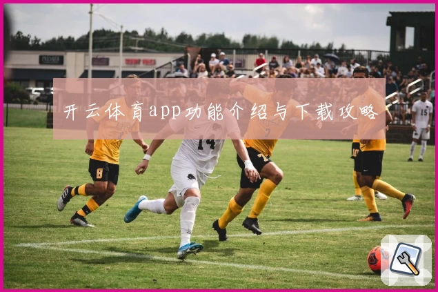 开云体育app功能介绍与下载攻略