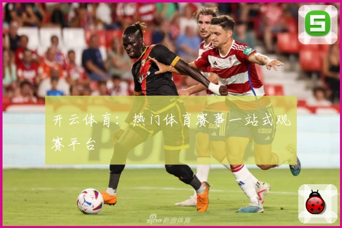 开云体育:热门体育赛事一站式观赛平台
