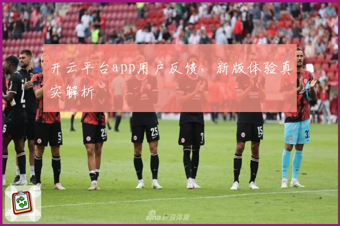 开云平台app用户反馈，新版体验真实解析
